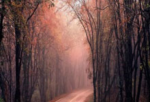 足球圈热门事件曝光，球迷关注度高涨