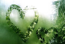 足球圈热门事件曝光，球迷关注度高涨